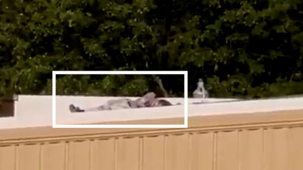 Videos Show Suspect Lying Motionless on Nearby Rooftop After Shooting