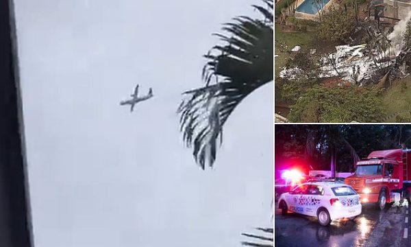 Brazilian plane was carrying doctors to a seminar before horror crash