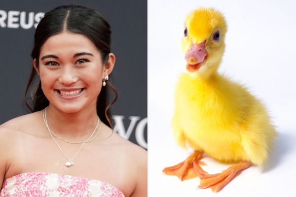 Olympic Skateboarder, 14, Whose Parents Promised Her a Pet Duck If She Won, Earns Gold Medal