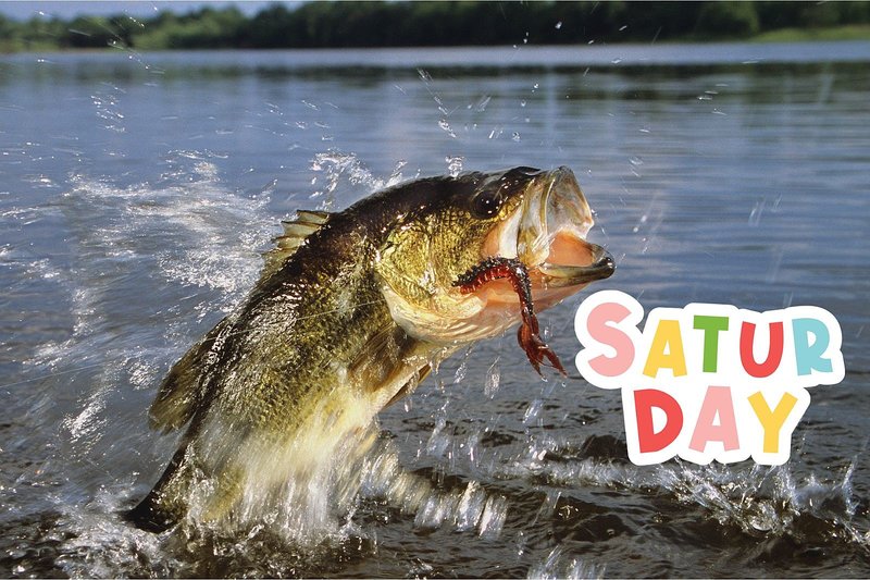 Best demo big bass splash in Germany Best demo big bass splash in Germany